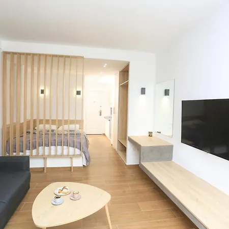 Apartament Vh Executive *